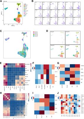 The diversity of trophoblast cells and niches of placenta accreta spectrum disorders revealed by single-cell RNA sequencing